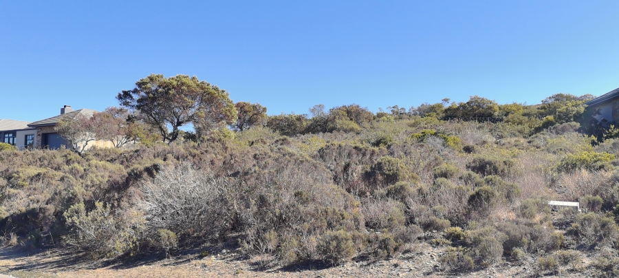 0 Bedroom Property for Sale in Num Num Cape Estate Western Cape